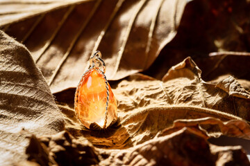 The orange gemstone pendant with silver frame on leaf background.