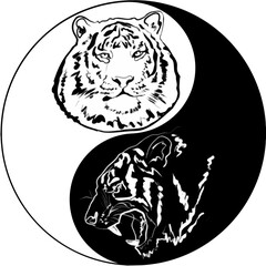 Black and White Tiger. 