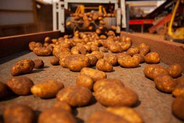 Factory interior. Potato production. Factory equipment, product manufacturing process. Modern factory.