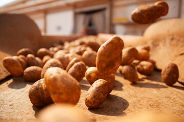 Factory interior. Potato production. Factory equipment, product manufacturing process. Modern...