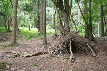 Woodland hide made of sticks and branches in teepee shape in a clearing.