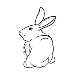 Fototapeta na wymiar The rabbit sits with his back Hand drawn vector illustrations on white background
