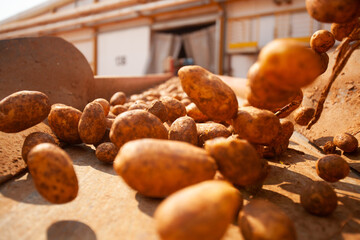Factory interior. Potato production. Factory equipment, product manufacturing process. Modern...