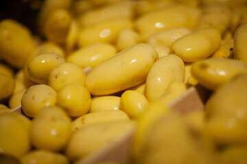 Factory interior. Potato production. Factory equipment, product manufacturing process. Modern factory.