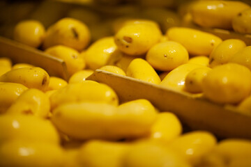 Factory interior. Potato production. Factory equipment, product manufacturing process. Modern factory.