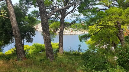 blue türkise turcuoise water beach sea side rocks croatia
boats sky pine trees
