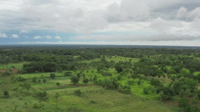 Aerial view Paraguayan landscape. Cows grazing beautiful nature and forests on the plain in Latin America.