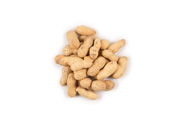 Group of Arachis isolated on a white.
