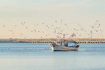 Old fishing boat returning from fishing enters the port at sunset accompanied by a flock of seagulls