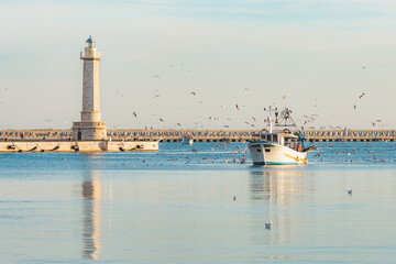 Old fishing boat returning from fishing enters the port at sunset accompanied by a flock of...