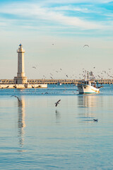 Naklejka premium Old fishing boat returning from fishing enters the port at sunset accompanied by a flock of seagulls. With beautiful lighthouse in the background, vertical