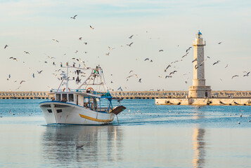 Old fishing boat returning from fishing enters the port at sunset accompanied by a flock of...