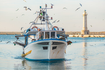 Old fishing boat returning from fishing enters the port at sunset accompanied by a flock of...