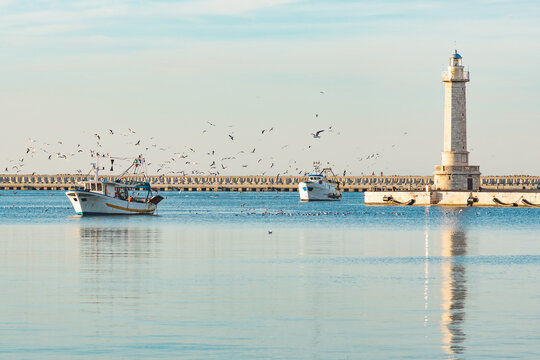 Old fishing boats returning from fishing enters the port at sunset accompanied by a flock of seagulls. With beautiful lighthouse in the background