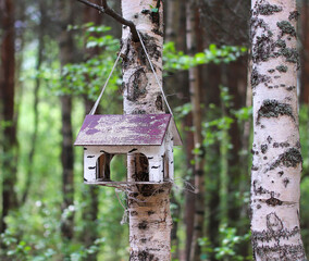 Birdhouse on a tree in the park