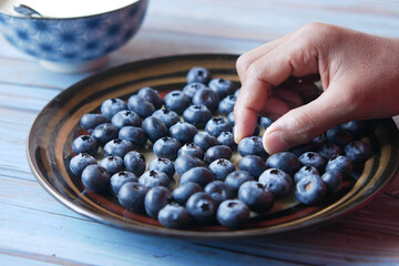  hand pick fresh blue berry from a plate 