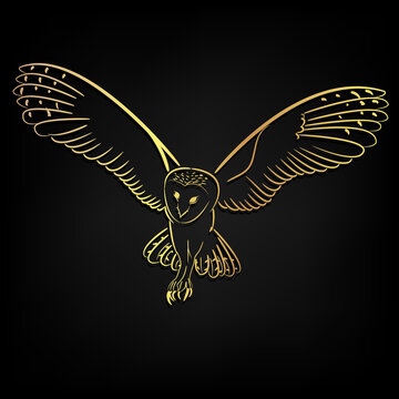 Barn Owl, Golden Brush stroke painting over black background