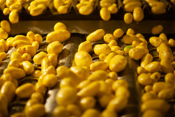 Factory interior. Potato production. Factory equipment, product manufacturing process. Modern...