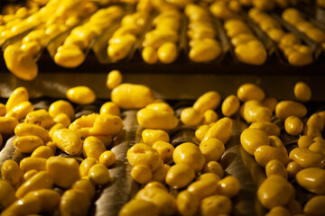 Factory interior. Potato production. Factory equipment, product manufacturing process. Modern factory.