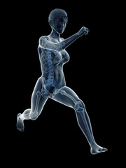 3d rendered medically accurate illustration of a woman running