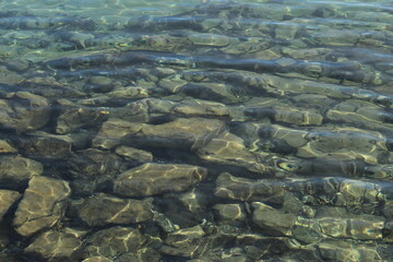 Background of shiny stones on a clear lake bottom. Abstract pattern of large grey stones under the surface of turquoise water (Lake Geneva)