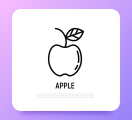 Apple thin line icon. Healthy organic food. Vector illustration.