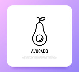 Avocado thin line icon. Healthy organic food. Vector illustration.