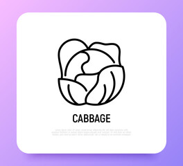 Cabbage thin line icon. Vegetable, ingredient for salad. Healthy organic food. Vector illustration.