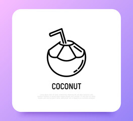 Coconut drink with straw thin line icon. Modern vector illustration of exotic beverage.