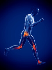 Obraz premium 3d rendered medically accurate illustration of a runners painful joints
