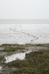 Hiker's footprints in the tidal flat on a grey and stormy day (vertical image), Burhave, Lower Saxony, Germany