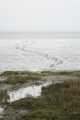 Hiker's footprints in the tidal flat on a grey and stormy day (vertical image), Burhave, Lower...