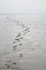 Hiker's footprints in the tidal flat on a grey and stormy day (vertical image), Burhave, Lower Saxony, Germany