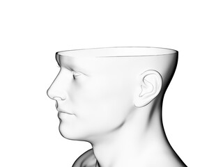 3d rendered medically accurate illustration of a cut open head