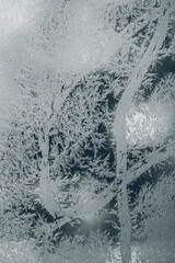 Frost Fractal Patterns On A Pane Of Glass After A Haw Frost