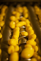 Factory interior. Potato production. Factory equipment, product manufacturing process. Modern factory.