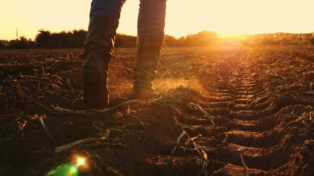 farmer in boots walks across the field. close-up. legs in farming boots. freshly plowed agricultural field. at sunset. backlit. Bottom view
