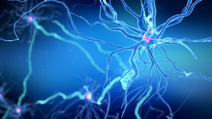 3d rendered illustration of a human nerve cell