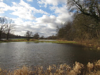 B&auml;ume an einer Wiese am Wasser
