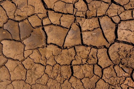 Dry craked earth closeup for natural abstract background. Global warming concept. High quality photo