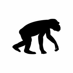 monkey vector icon, monkey silhouette design