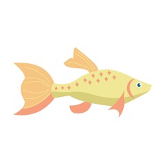 Aquarium exotic fish isolated on white background. Cartoon vector illustration