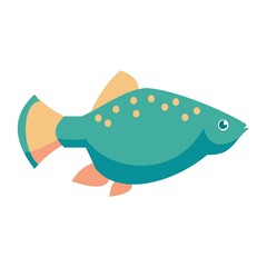 Aquarium mollies fish isolated on white background. Cartoon vector illustration