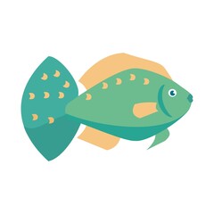 Aquarium cichlazomas fish isolated on white background. Cartoon vector illustration