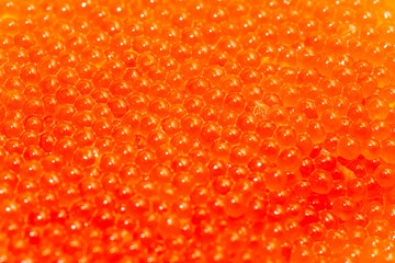 red caviar, macro photography, focus on the center. Selective focus. Close up background