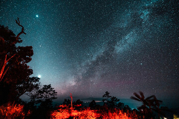 Fototapeta na wymiar the night sky and the milky way in the forest
