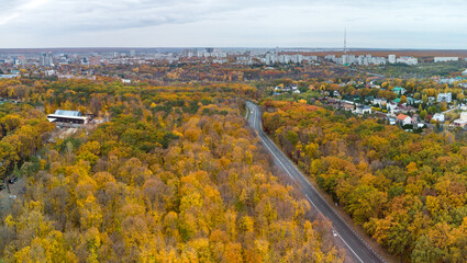 Aerial scenic road in autumnal yellow trees near residential district. Fly above street in autumn city park. Treetop view on Kharkiv, Ukraine