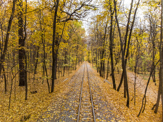 Obraz premium Aerial view on railway track line in bright yellow leaves in autumn forest. Colorful Children's Southern Railway in Kharkiv, travel Ukraine