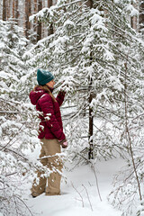 young woman in red jacket walking in winter snowy coniferous forest, beauty in nature, active lifestyle winter hiking