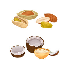 Fototapeta na wymiar Nuts in Shell with Almond and Pistachio and Coconut Vector Set